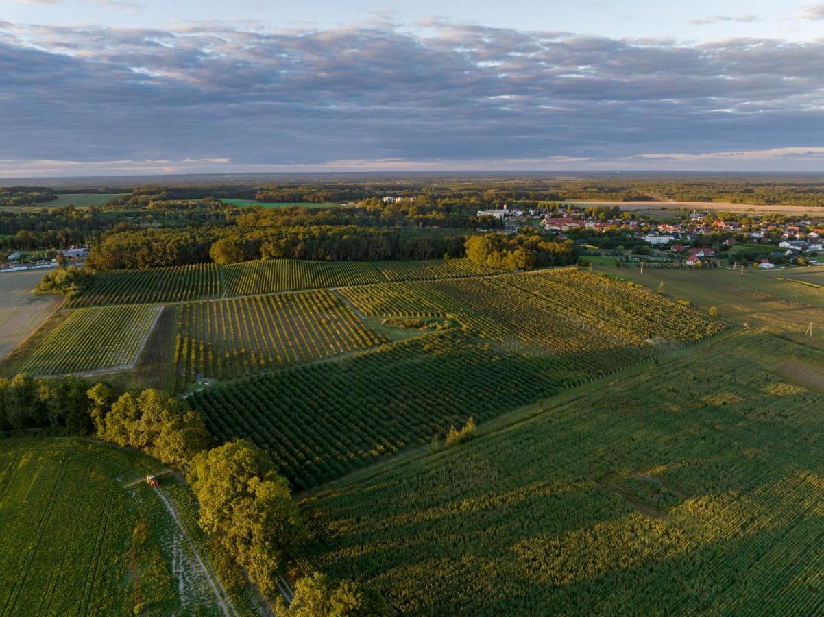 Winnica Anna Noclegi Krosnice Buitenkant foto