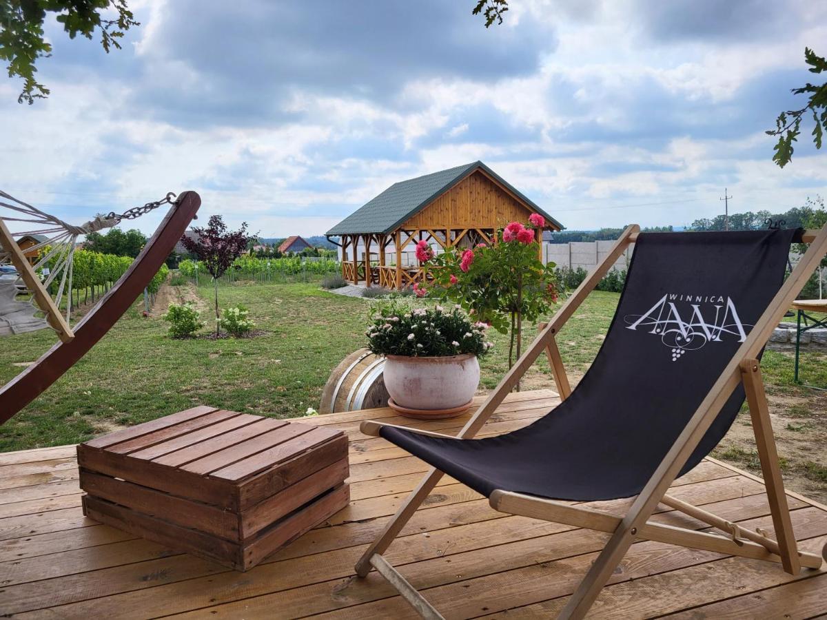 Winnica Anna Noclegi Krosnice Buitenkant foto