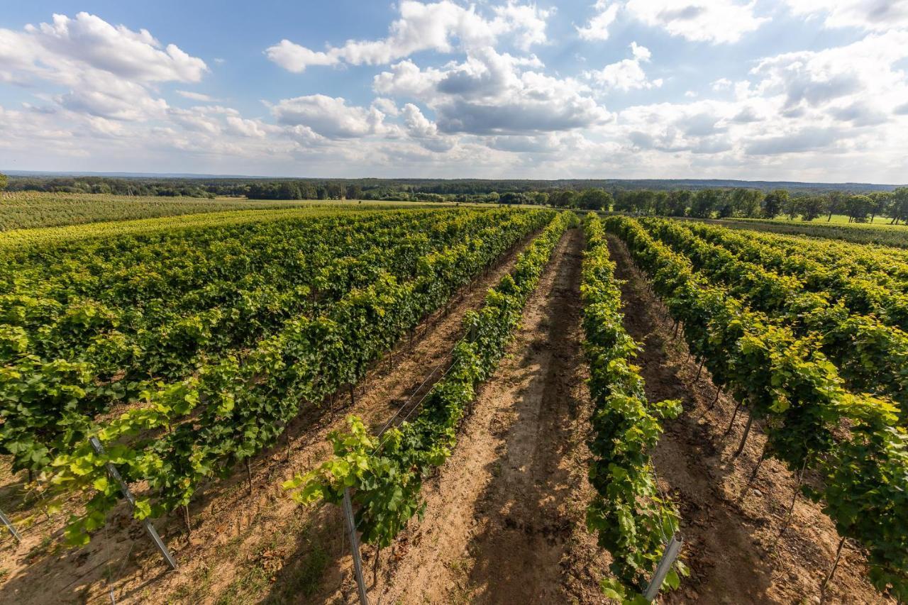 Winnica Anna Noclegi Krosnice Buitenkant foto